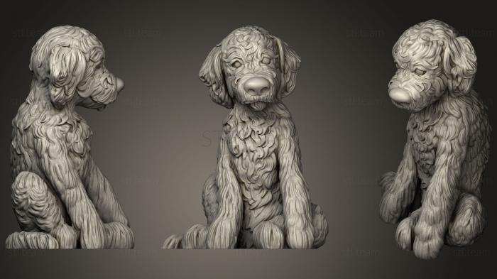 3D model Labradoodle Puppy (STL)
